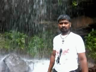 nachanpanda's profile picture. 