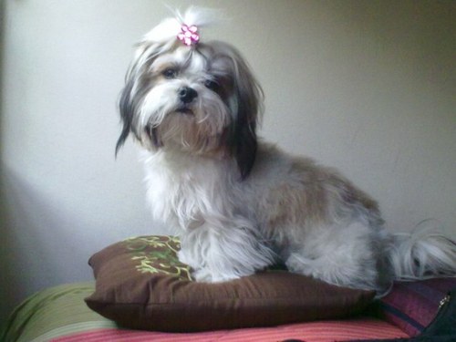 hexeriesent's profile picture. 