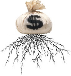 PricelessRoots's profile picture. 