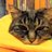 holly7272's profile image