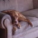 Ben Nason - @nasonbenji - Twitter