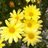 kmorley8794's profile image