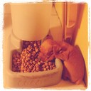 François Smith - @itsfrancois - Twitter