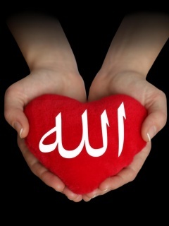 rawyda's profile picture. Rawayda