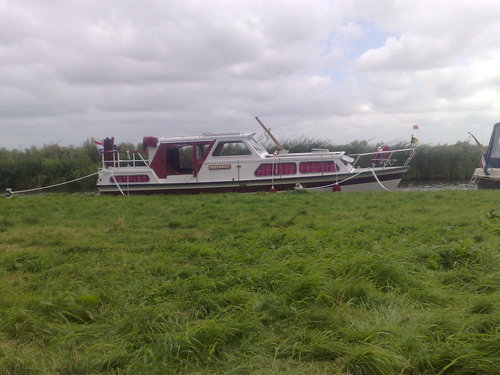 theowoud's profile picture. even weg