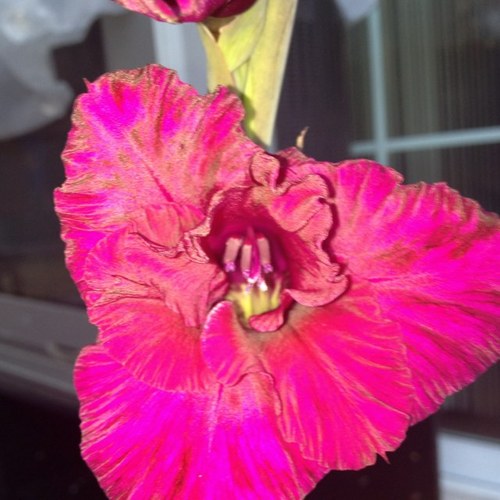 282213's profile picture. 