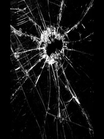 erndogg03's profile picture. 