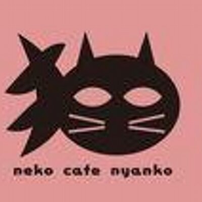 猫カフェ にゃんこ Nekocafenyanko Twitter 猫カフェ にゃんこ Nekocafenyanko Twitter