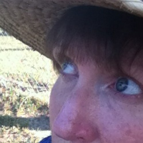 spangster1982's profile picture. 