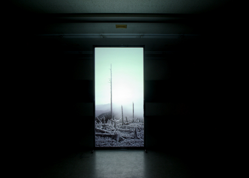 monotonefilms's profile picture. 美術作家です。 映像作家です。https://t.co/KF7qiHqEMN