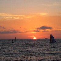 Deb A (@idrdeb) 's Twitter Profile