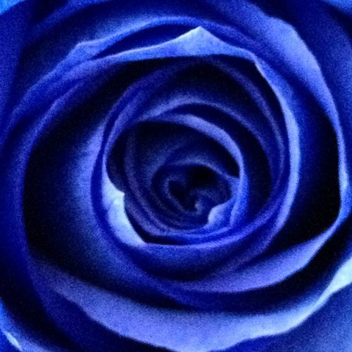 homerj007's profile picture. 