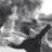 hira_tha's profile image