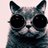 iineneko's profile image