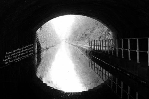 flashandzoom's profile picture. Flash and Zoom is a new project from photographer @japaneeztourist and @zoe_m_mitchell providing a fresh perspective on photography and poetry.