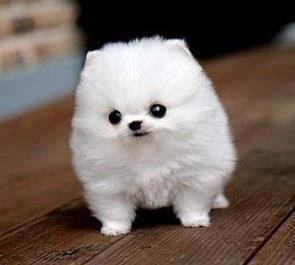Follow me and I Follow Back..
Nice tweets here.. =)