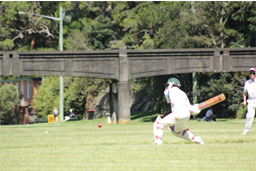 I love cricket
