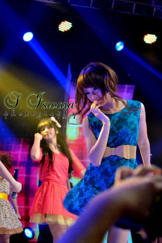 support @steffychibi @cherrybelleINDO