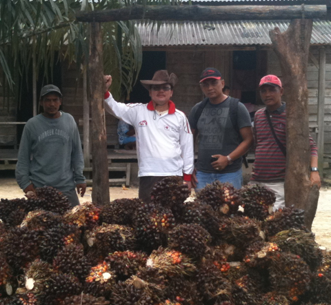 Twitter Resmi sarana komunikasi antar anggota Koperasi Kebun Dayun, Desa Dayun, Kecamatan Dayun, Kabupaten Siak, Propinsi Riau, Sumatra, Indonesia