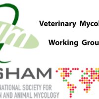 Veterinary Mycology & One Health (@isham_vetmyco) 's Twitter Profile Photo Veterinary Mycology & One Health (@isham_vetmyco) 's Twitter Profile Photo