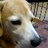 jikotamura's profile image