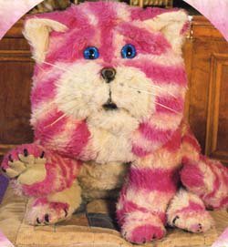 GuernseyCat's profile picture. Guernsey girl, living and working in The Hague. Love music, reading, travelling, trying new things, teaching, Guernsey...and now, The Hague!