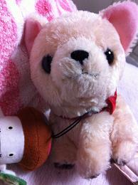 スポーツ＆モノ系好き　スポーツのときはつぶやき連投！！http://t.co/WHVyELr6V1