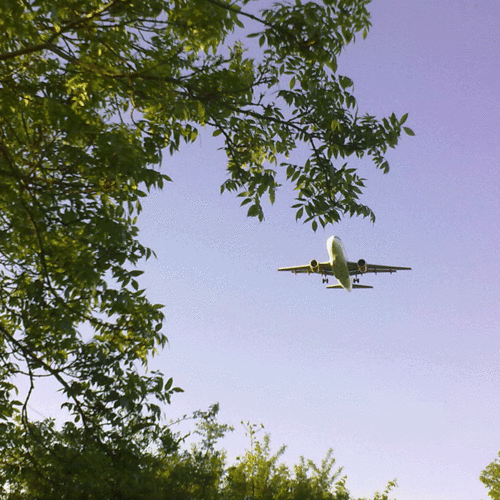 Stansted Matters for all things that affect our lives in this pretty Essex village.