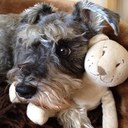 Jo Shaw - @JoShaw15 - Twitter