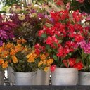 s tedja - @SusyTedja - Twitter