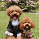 sonia carey - @soniacarey1981 - Twitter