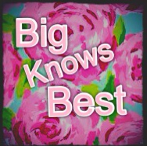 BigKnowsBest's profile picture. Big always knows best. ;)