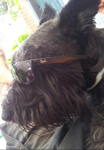 cocol1975's profile picture. 