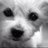 sorianoanabel's profile image