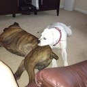 Nicol (Nik) Cook - @NikFrancis13 - Twitter