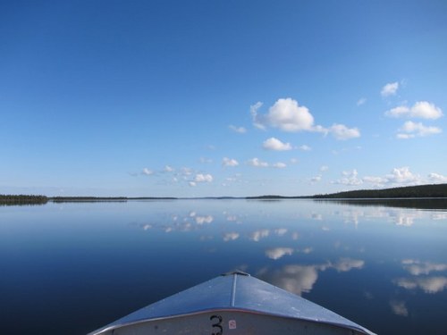 DerekDermott's profile picture. 