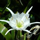 Jean Everett - @JeanEverett3 - Twitter