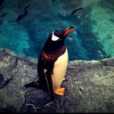 nick_corey - @nick_corey - Twitter