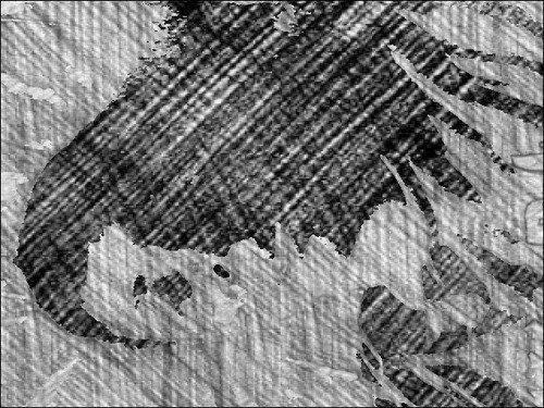 fadhlilham's profile picture. 