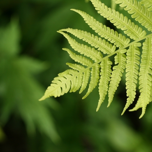 inukshukNE's profile picture. trying to tread lightly.
Inukshuk explained: https://t.co/0OKzNlFo7m