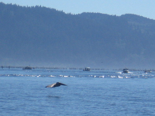 letsgetitdone1's profile picture. fishin huntin snowmobileing trucking go's M's, Hawks,dawgs