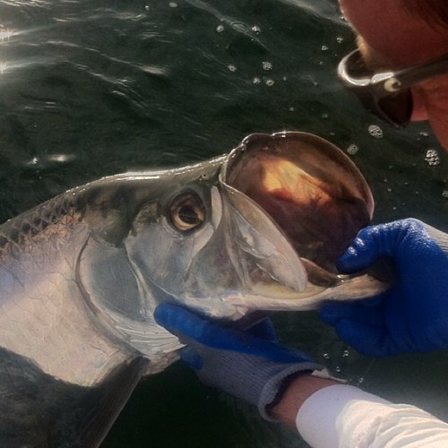 Bobtwets's profile picture. Owner of Tuckaseegee River Club, Husband to a beautiful wife, and just loving life!!!!