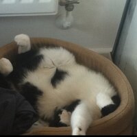 Jason (@jaykeg1220) 's Twitter Profile Photo