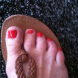 maggieisthedog's profile picture. 