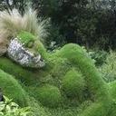 Elvia Rivera Velázqu - @elviariver - Twitter