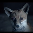 Cap. Jack Swallows - @soymalpoli - Twitter