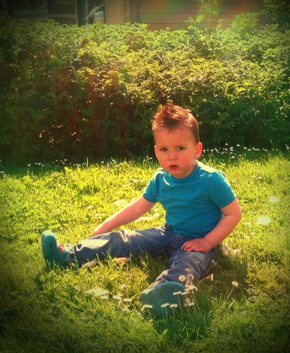 Picture