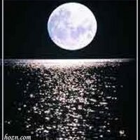 سهم الجنوب (@rampart) 's Twitter Profile