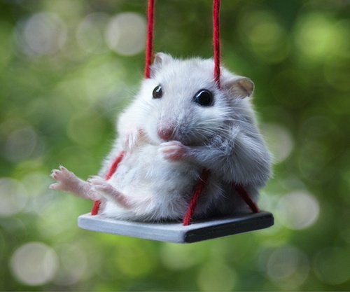 Bruja_SinEscoba's profile picture. 