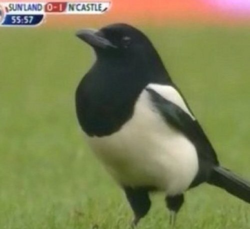 StephenBarrass's profile picture. 